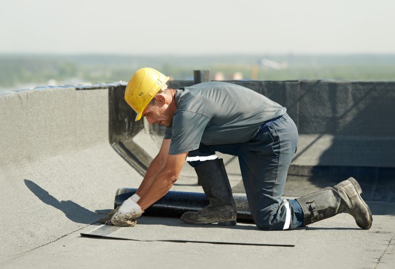 Professional Roofing Work