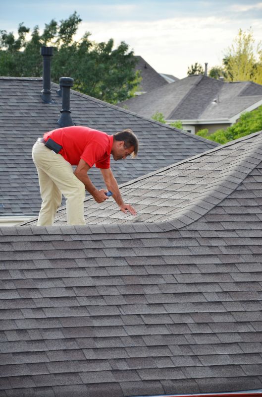 Specialized Roof Inspectors